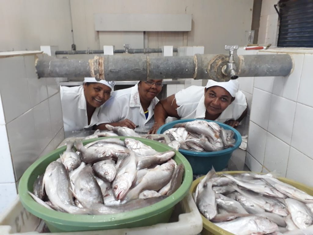 grupo-de-beneficiamento-de-pescado-_arte-pesca_-da-associac%cc%a7ao-de-pescadoras-de-remanso-foto_-arquivo-appr-1024x768-1