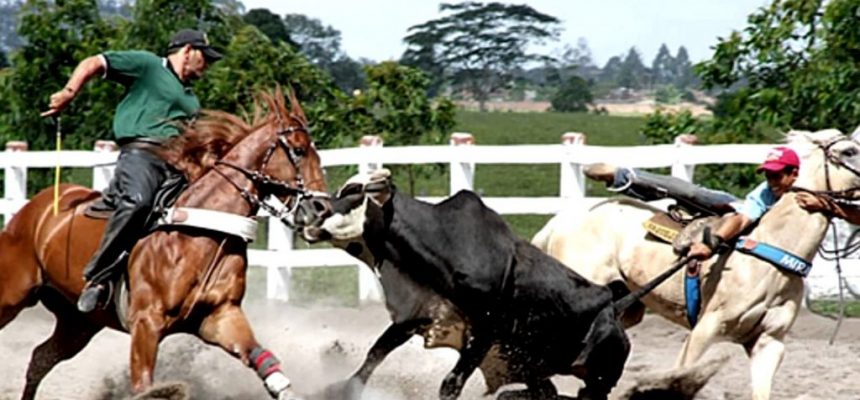 vaquejada-1024x552