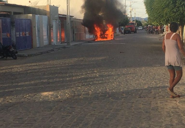 cao-pega-fogo-remanso-768x1024