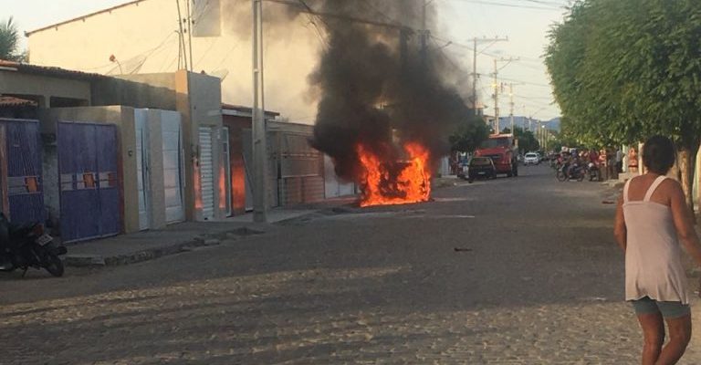 cao-pega-fogo-remanso-768x1024