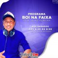 boi-na-faixa