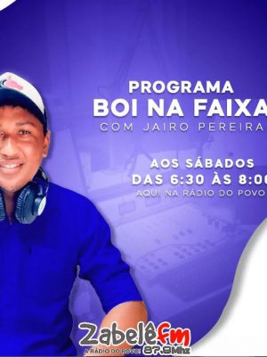 boi-na-faixa