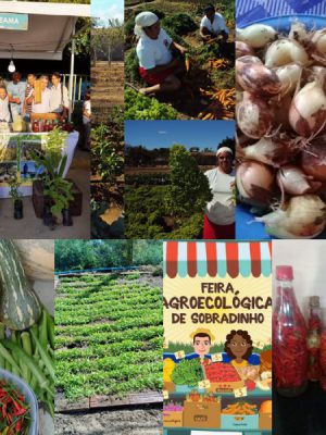 collageprodutosorganicos