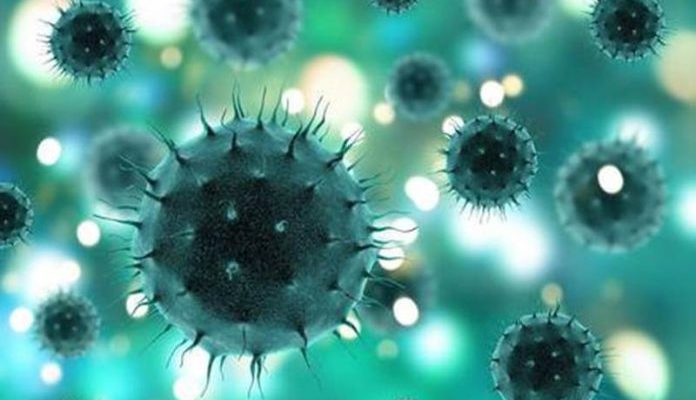 coronavirus-696x461
