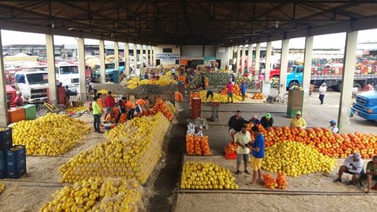 juaercado-do-produtor