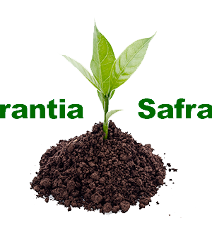 garantia-safra