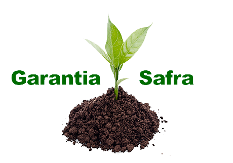 garantia-safra