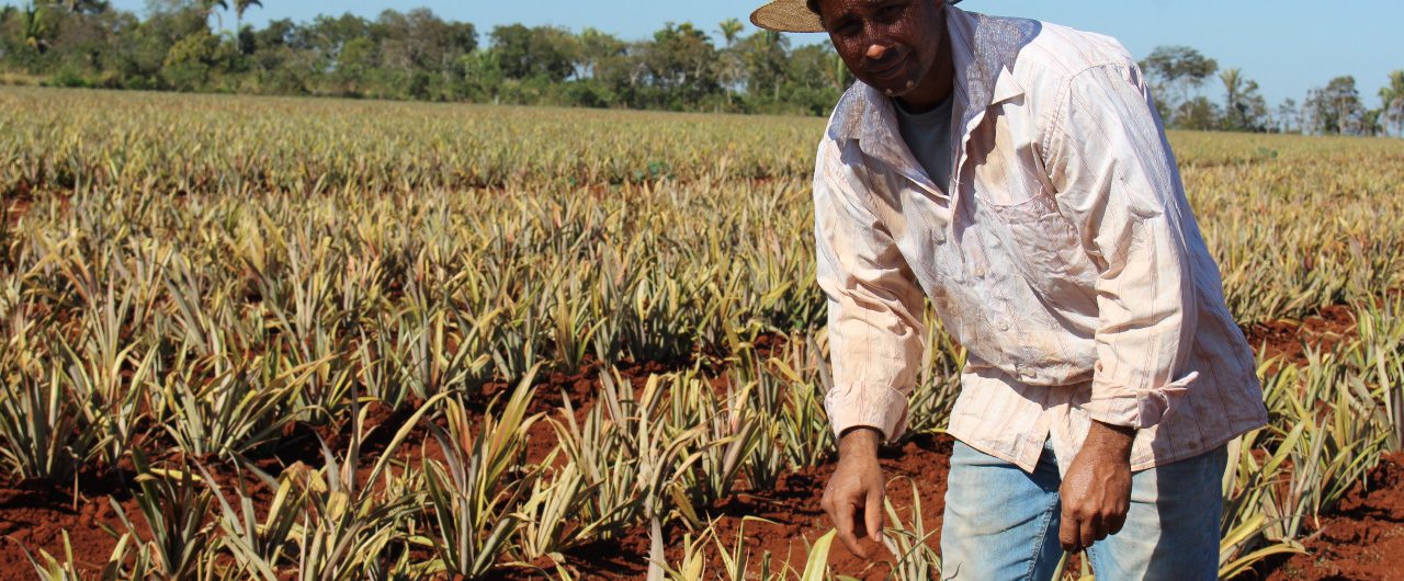 whatsapp-image-2020-05-29-at-11-50-40-2