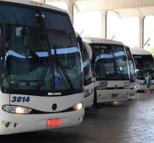 imagem_noticia_5-30