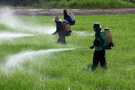 agrotoxicos