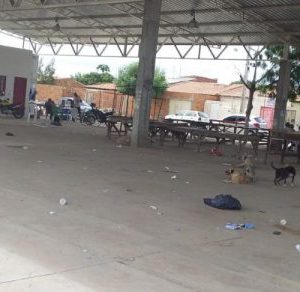 feira-1