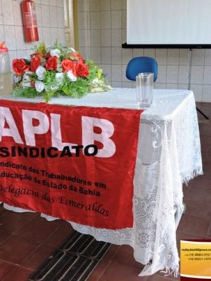 aplb-bandeira-4