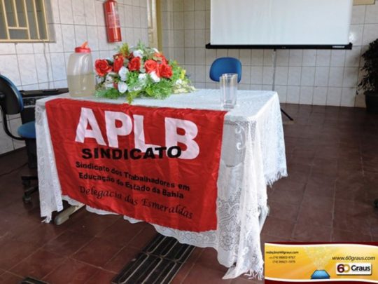 aplb-bandeira-4