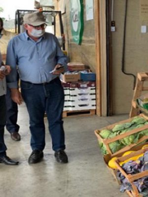 mercado-do-produtor-de-juazeiro-movimenta-r-10-milhoes-dia-e-ja-e-o-quarto-maior-entreposto-do-pais-portal-spy-noticias-de-juazeiro-e-petrolina