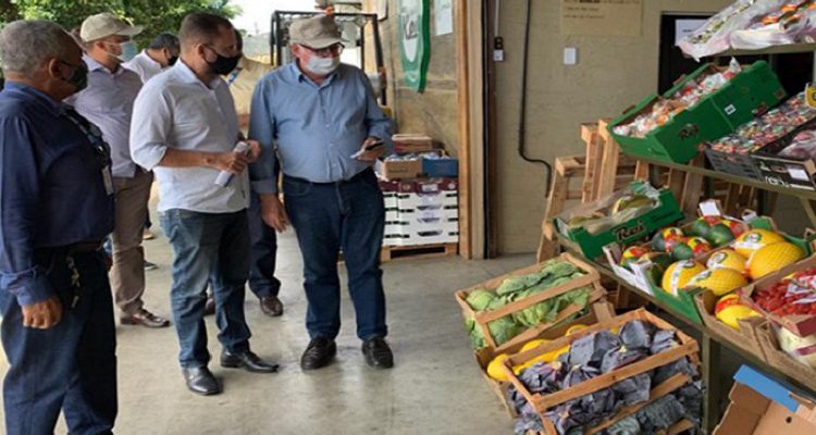 mercado-do-produtor-de-juazeiro-movimenta-r-10-milhoes-dia-e-ja-e-o-quarto-maior-entreposto-do-pais-portal-spy-noticias-de-juazeiro-e-petrolina