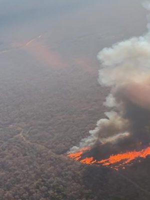 incendio-bahia