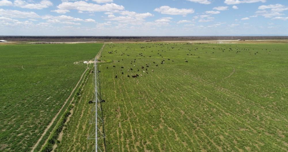 agronegocio_fotosascomseplan-1