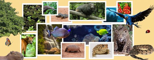 biodiversidade