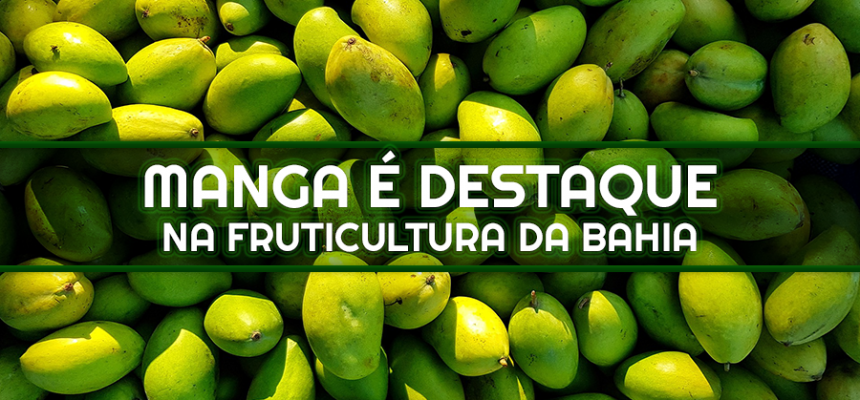 capamateriamanga0410
