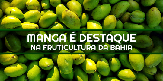 capamateriamanga0410