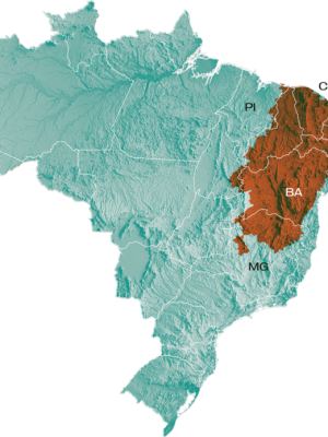 desertificacao-semiarido-desafio-mulheres