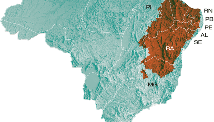 desertificacao-semiarido-desafio-mulheres