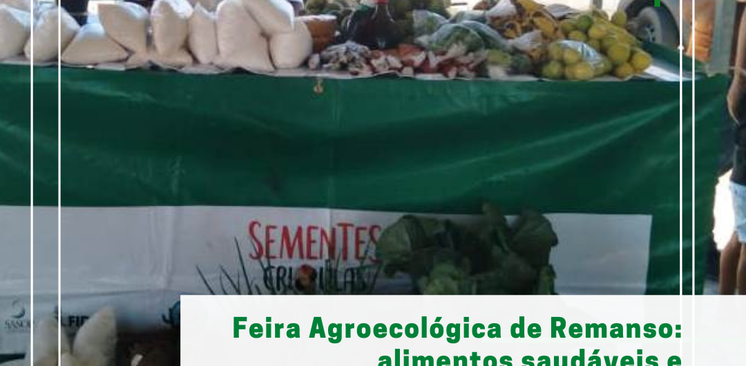 feira-agroecologica
