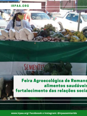 feira-agroecologica