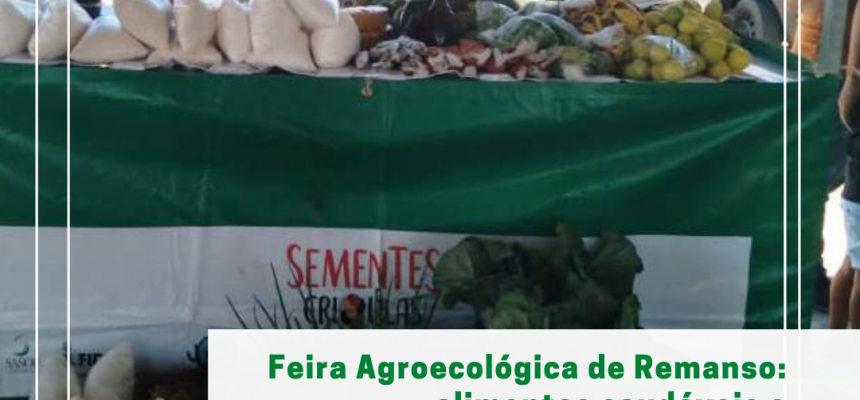 feira-agroecologica