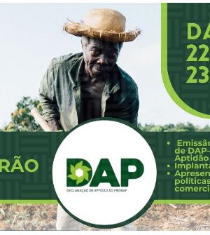 thumbnail_mutirao-do-dap