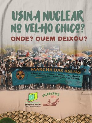 arte-mobilizacoes-velho-chico7