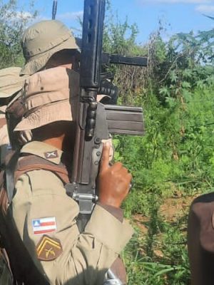 pmss-900x500