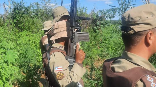 pmss-900x500