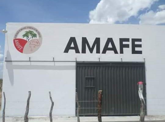 curacaamafe-crop1