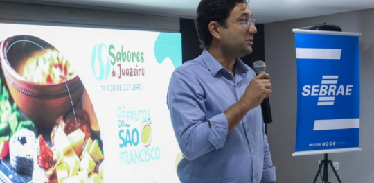 festival-sebrae-1024x500