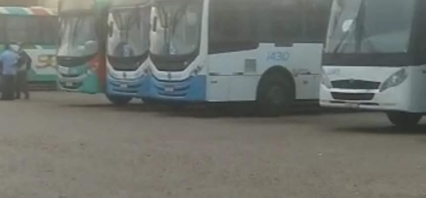 para-joafra