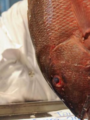 peixe3