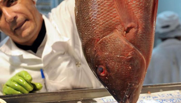 peixe3