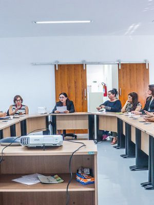 reuniao-comite-interinstitucional-5