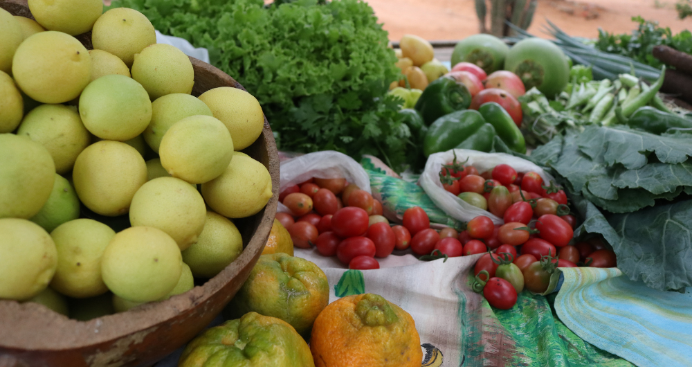 alimentaa-sect-a-pound-o-pnae-20-03-23