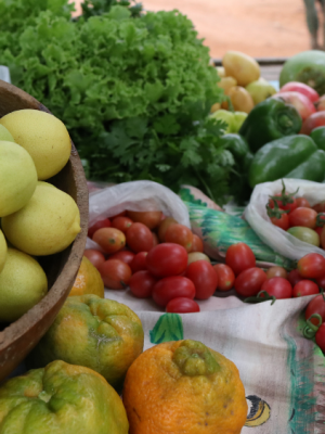 alimentaa-sect-a-pound-o-pnae-20-03-23