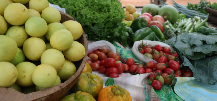 alimentaa-sect-a-pound-o-pnae-20-03-23