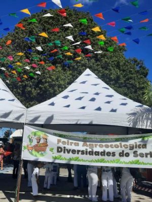 feira