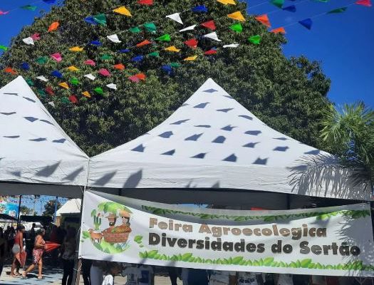 feira