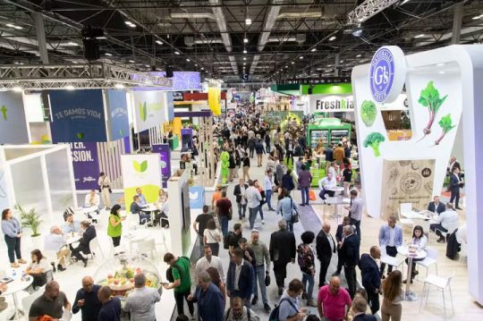 foto-divulgacao-fruit