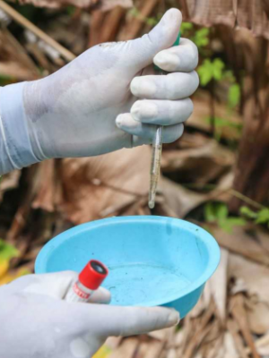 combate-dengue-1