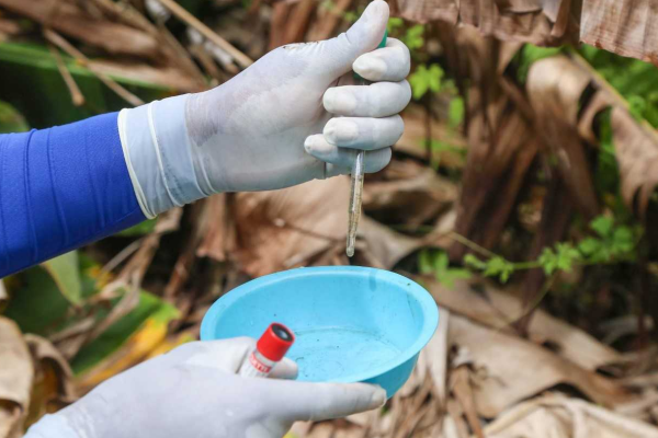 combate-dengue-1