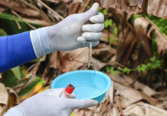 combate-dengue-1