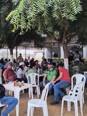 feira-do-bode-3