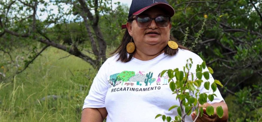 05-fev-2025-recaatingamento